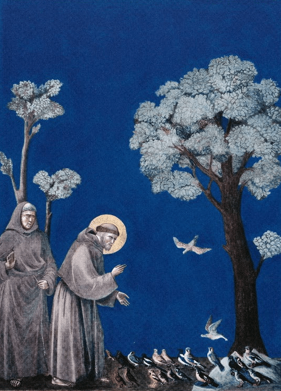 Assisili Aziz Fransua’nın Görkemli&nbsp;Bayramı